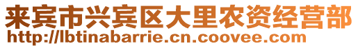 来宾市兴宾区大里农资经营部