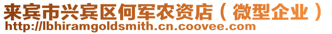 來(lái)賓市興賓區(qū)何軍農(nóng)資店（微型企業(yè)）