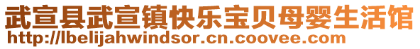 武宣縣武宣鎮(zhèn)快樂寶貝母嬰生活館