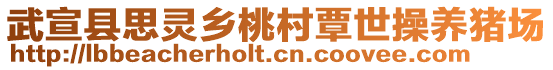 武宣縣思靈鄉(xiāng)桃村覃世操養(yǎng)豬場