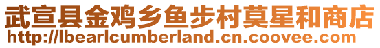 武宣縣金雞鄉(xiāng)魚步村莫星和商店