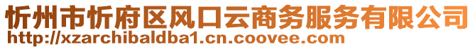 忻州市忻府區(qū)風(fēng)口云商務(wù)服務(wù)有限公司