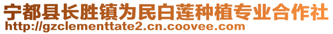 寧都縣長勝鎮(zhèn)為民白蓮種植專業(yè)合作社