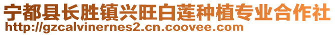 寧都縣長(zhǎng)勝鎮(zhèn)興旺白蓮種植專(zhuān)業(yè)合作社