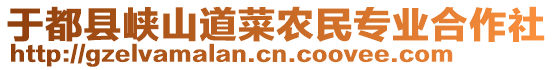 于都縣峽山道菜農(nóng)民專業(yè)合作社