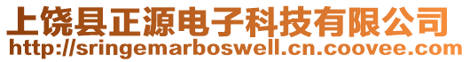 上饒縣正源電子科技有限公司