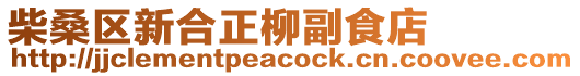 柴桑區(qū)新合正柳副食店