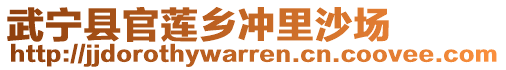 武寧縣官蓮鄉(xiāng)沖里沙場