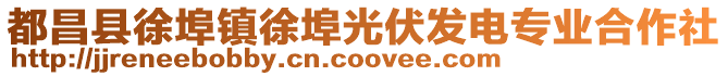 都昌县徐埠镇徐埠光伏发电专业合作社