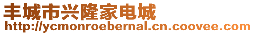 丰城市兴隆家电城