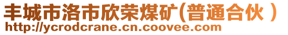 豐城市洛市欣榮煤礦(普通合伙）