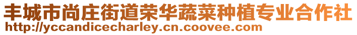 丰城市尚庄街道荣华蔬菜种植专业合作社