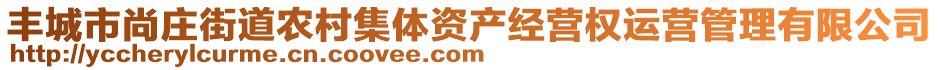 豐城市尚莊街道農(nóng)村集體資產(chǎn)經(jīng)營權(quán)運(yùn)營管理有限公司