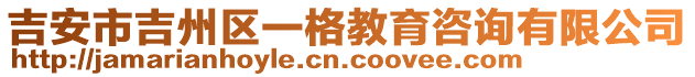 吉安市吉州区一格教育咨询有限公司