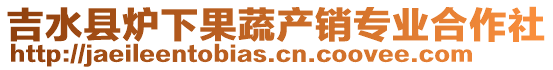 吉水縣爐下果蔬產(chǎn)銷專業(yè)合作社