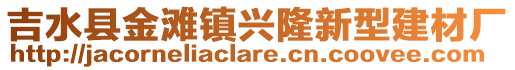 吉水县金滩镇兴隆新型建材厂