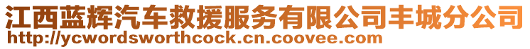 江西藍(lán)輝汽車救援服務(wù)有限公司豐城分公司