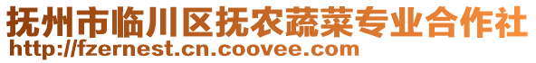 撫州市臨川區撫農蔬菜專業合作社