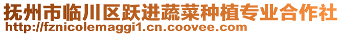 撫州市臨川區躍進蔬菜種植專業合作社