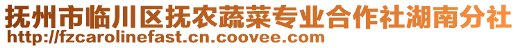 撫州市臨川區(qū)撫農(nóng)蔬菜專業(yè)合作社湖南分社