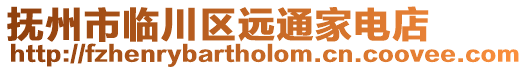 抚州市临川区远通家电店