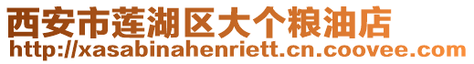 西安市蓮湖區大個糧油店