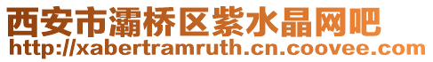 西安市灞橋區紫水晶網吧