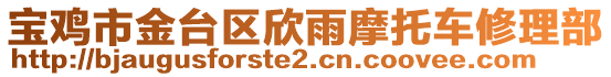 寶雞市金臺區(qū)欣雨摩托車修理部