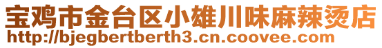 寶雞市金臺區(qū)小雄川味麻辣燙店