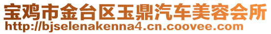 寶雞市金臺區(qū)玉鼎汽車美容會所