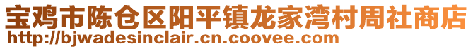 寶雞市陳倉區(qū)陽平鎮(zhèn)龍家灣村周社商店