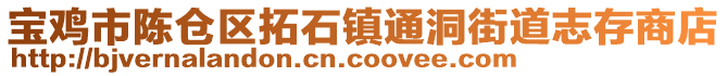 寶雞市陳倉(cāng)區(qū)拓石鎮(zhèn)通洞街道志存商店