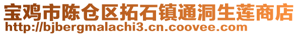 寶雞市陳倉區(qū)拓石鎮(zhèn)通洞生蓮商店