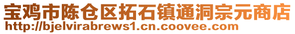 寶雞市陳倉(cāng)區(qū)拓石鎮(zhèn)通洞宗元商店