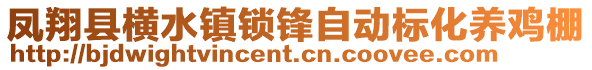 凤翔县横水镇锁锋自动标化养鸡棚