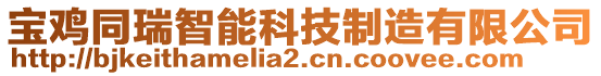 寶雞同瑞智能科技制造有限公司