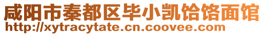 咸阳市秦都区毕小凯饸饹面馆