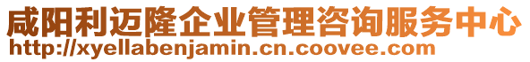 咸陽利邁隆企業(yè)管理咨詢服務中心