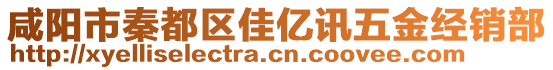 咸陽市秦都區(qū)佳億訊五金經(jīng)銷部