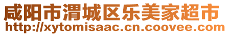 咸陽市渭城區(qū)樂美家超市