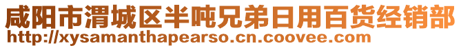 咸陽市渭城區(qū)半噸兄弟日用百貨經(jīng)銷部