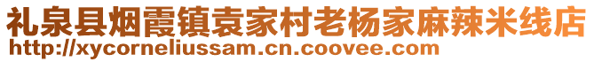 礼泉县烟霞镇袁家村老杨家麻辣米线店