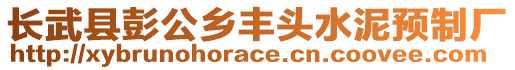 長武縣彭公鄉(xiāng)豐頭水泥預(yù)制廠