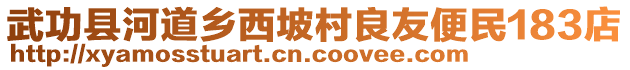 武功縣河道鄉(xiāng)西坡村良友便民183店