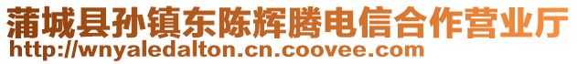 蒲城县孙镇东陈辉腾电信合作营业厅