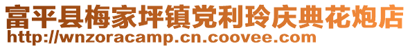 富平县梅家坪镇党利玲庆典花炮店