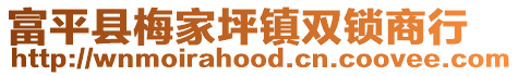 富平县梅家坪镇双锁商行