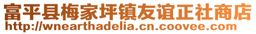 富平县梅家坪镇友谊正社商店