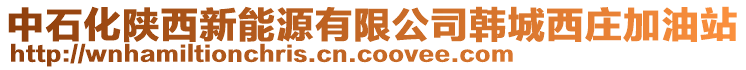 中石化陕西新能源有限公司韩城西庄加油站