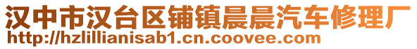 漢中市漢臺(tái)區(qū)鋪鎮(zhèn)晨晨汽車(chē)修理廠